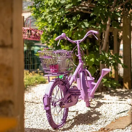 Casa Parenzana * פורץ